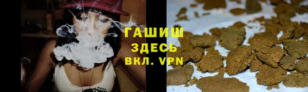 гидра Алексин