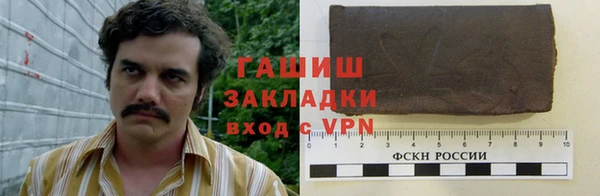 гидра Алексин